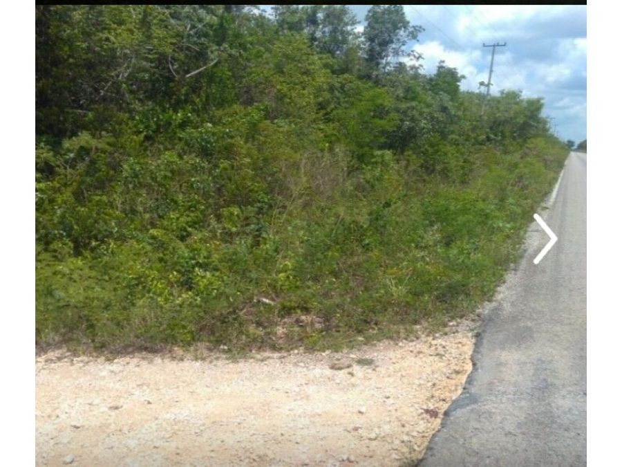 venta terreno 12 hectarea ruta de los cenotes km24