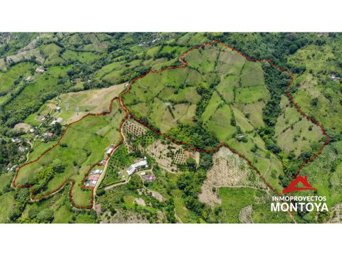 increible vista finca ganadera de 40 cuadras en belalcazar