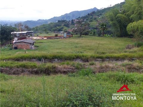 finca ganadera en combia pereira