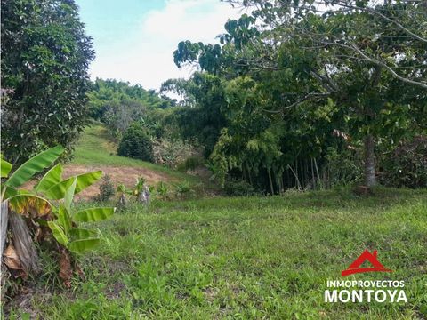 lote campestre en combia sector san marino pereira