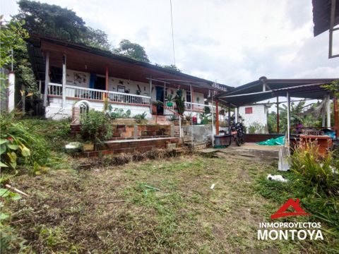 finca cafetera en la vereda el chocho pereira