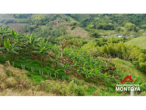 permuta finca a 15min de arabia pereira