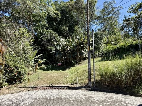 venta lote en punta leona mj