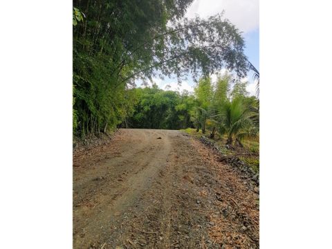 vendo finca 540 tareas km52 aut duarte