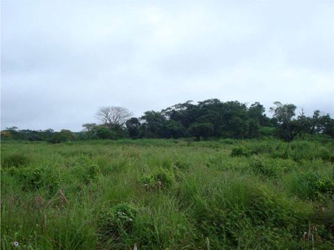 terreno 15 manzanas carretera a puerto quetzal