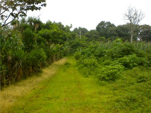 terrenos en bosque nevado km 29 carr a el salvador