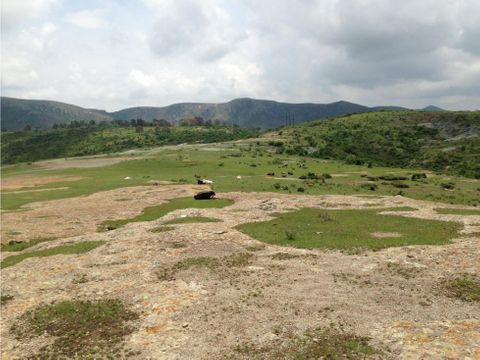 terreno en venta en guanajuato 320 hectareas