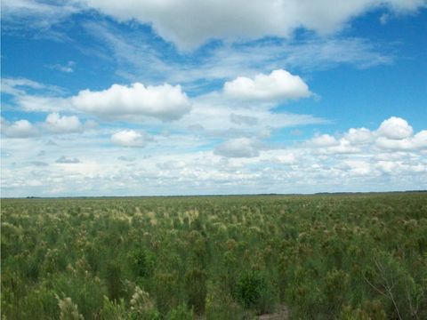 finca de 2539 hectareas ganadera y arrocera en mani casanare