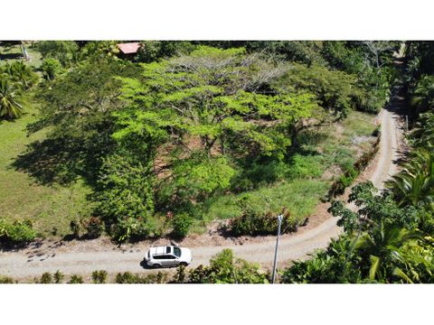 lote playa negra puerto viejo naturaleza a su alcance