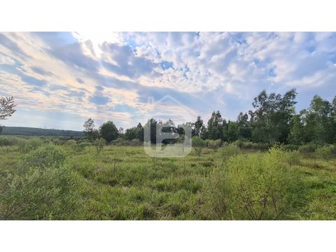 vende chacra de 9 hectareas a 33km de la ciudad de rivera