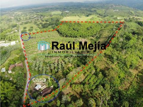 venta de finca con mas de 10 hectareas en montenegro quindio