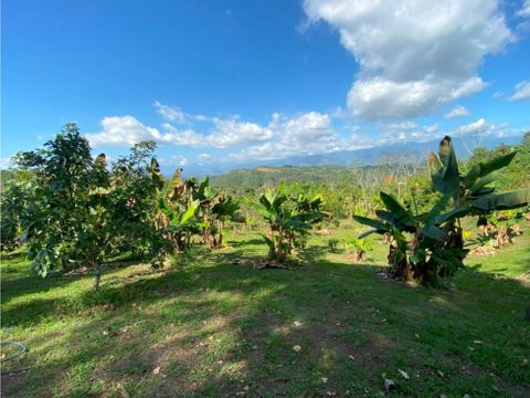 granja en venta en cristo rey de perez zeledon area de 724 acres