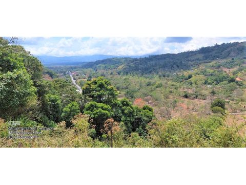 finca en venta 3hcts pueblo nuevo rivas perez zeledon