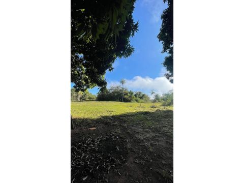 vendo 11 hectareas en eusebio ayala cordillera a 4km de la ruta