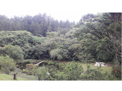 finca de ensueno en las montanas de santa barbara heredia 37 acres