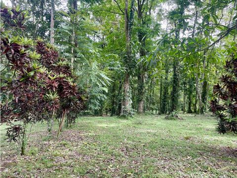 amplio lote en venta en siquirres limon