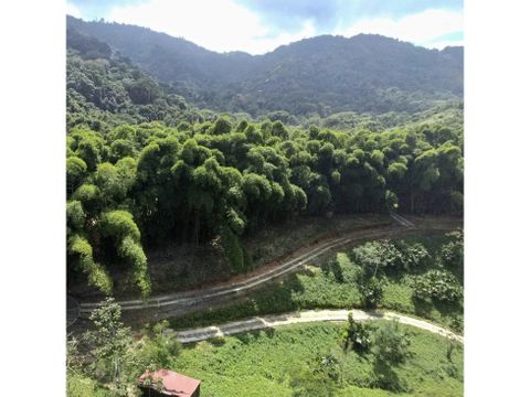 venta lote minca conjunto cerrado sierra nevada de santa marta