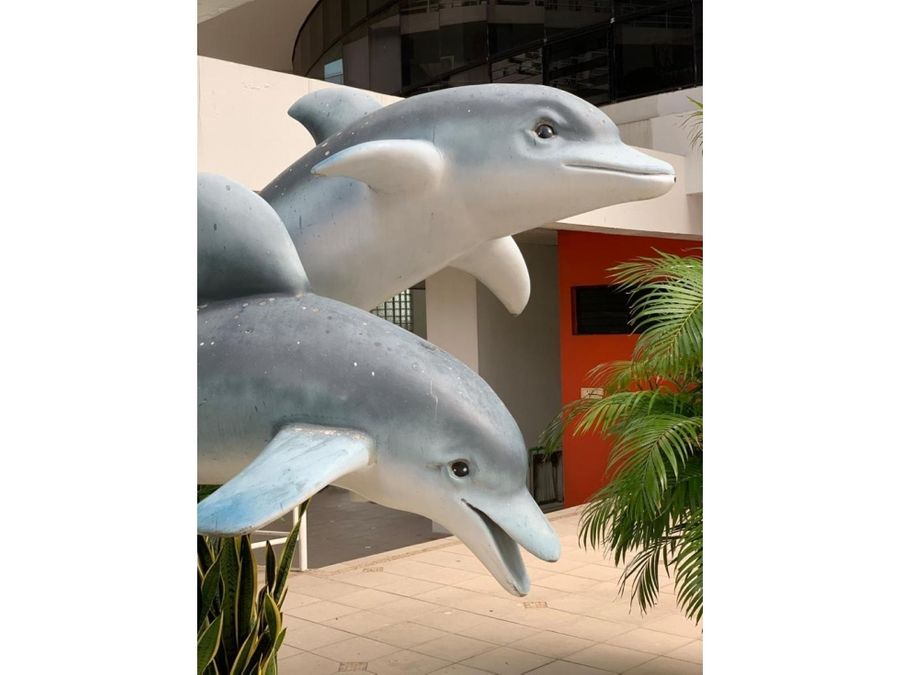 se alquila apartamento edificio los delfines avenida balboa