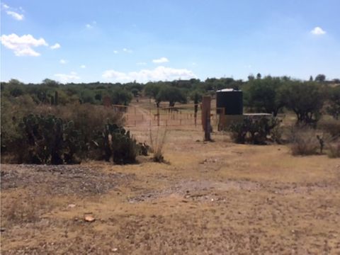 venta terreno campestre en el llano ags