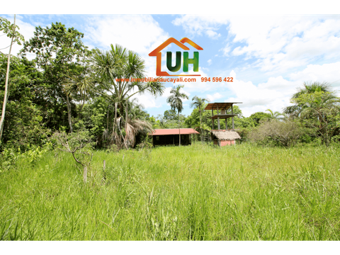 00316 venta terreno rural pucallpa 5 ha 804736m2