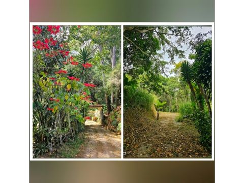 venta de dos terrenos parcelas en san antonio de 755313m2