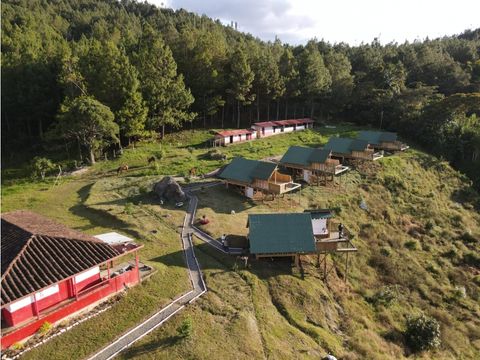finca aguacatera ecohotel glamping jerico sembrado aguacate