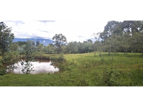 vende lote sabana alta villa de leyva