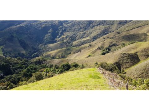 123 hectareas para aguacate en abejorral