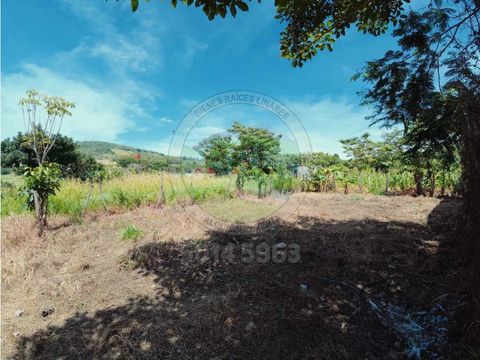 venta de terreno en caserio el chile conguaco totalmente plano
