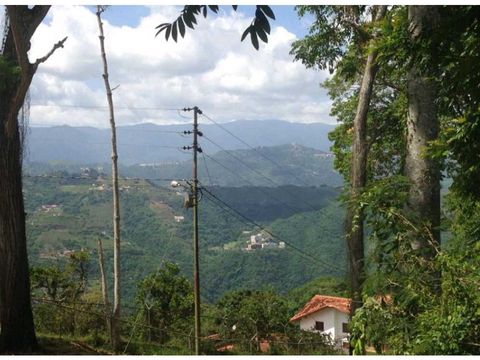 terreno en venta en sabaneta el hatillo 55343m2 oportunidad