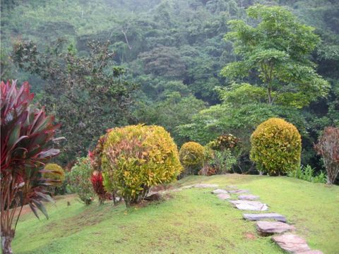 venta finca quebrada valencia