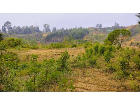 vendo lote san vicente ferrer antioquia