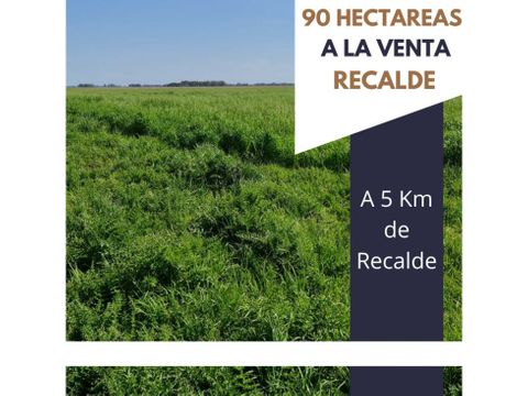 a la venta 90 hectareas de cria zona recalde olavarria