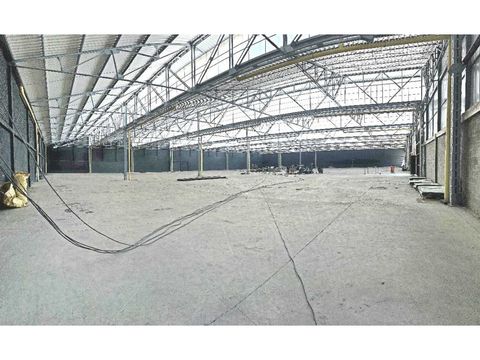 alquilamos bodegas nuevas con beneficios fiscales por 10 anos