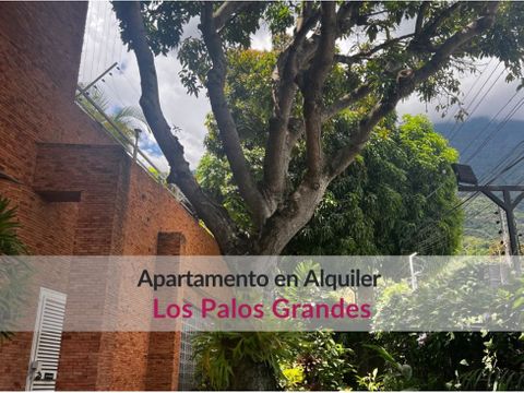 espectacular apartamento en alquiler en los palos grandes