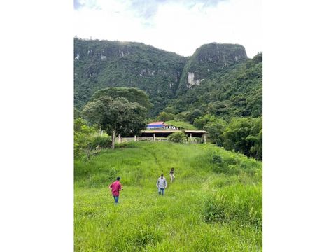 excelente tierra en tarso cerca a jerico