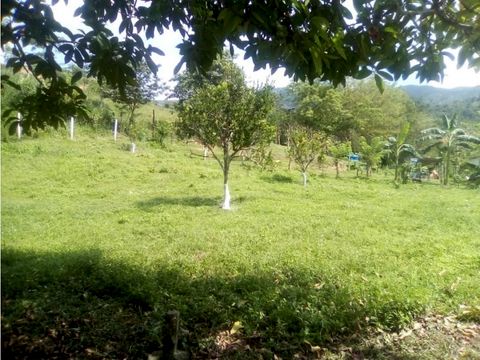 finca campestre en venta en canoabo am 10443429