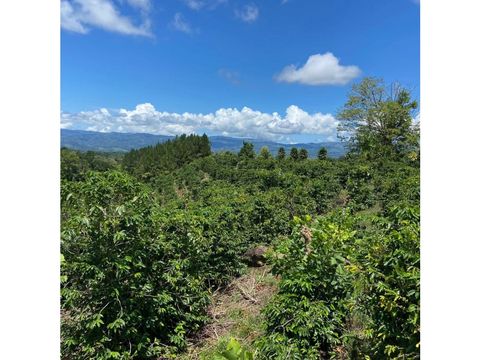 prime real estate opportunity in santa elena perez zeledon