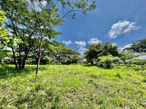 se vende finca en la ceiba orotina