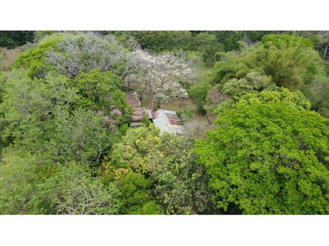 se vende finca en la garita alajuela