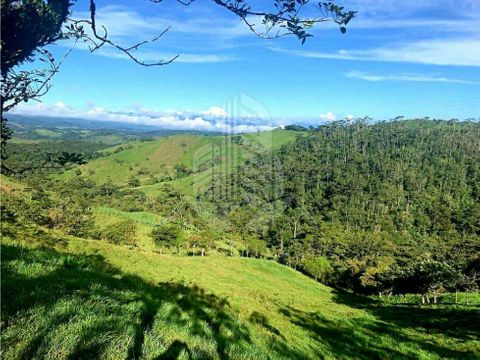 se vende hermosa finca ubicada en zarcero alajuela